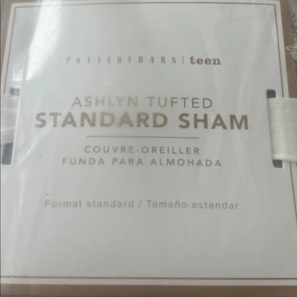 Pottery Barn Teen Ashlyn Tufted Standard Sham Light Gray NEW